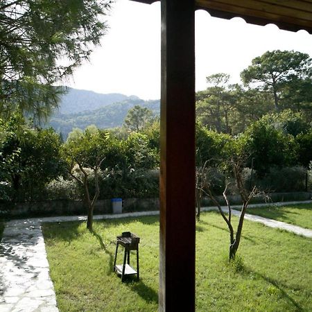 Apartament Seker Bungalov Çıralı Zewnętrze zdjęcie