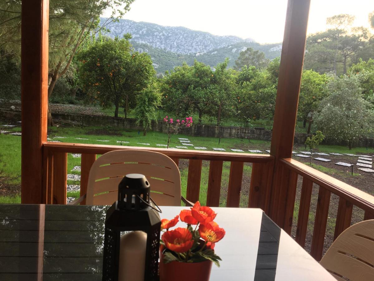 Apartament Seker Bungalov Çıralı Zewnętrze zdjęcie