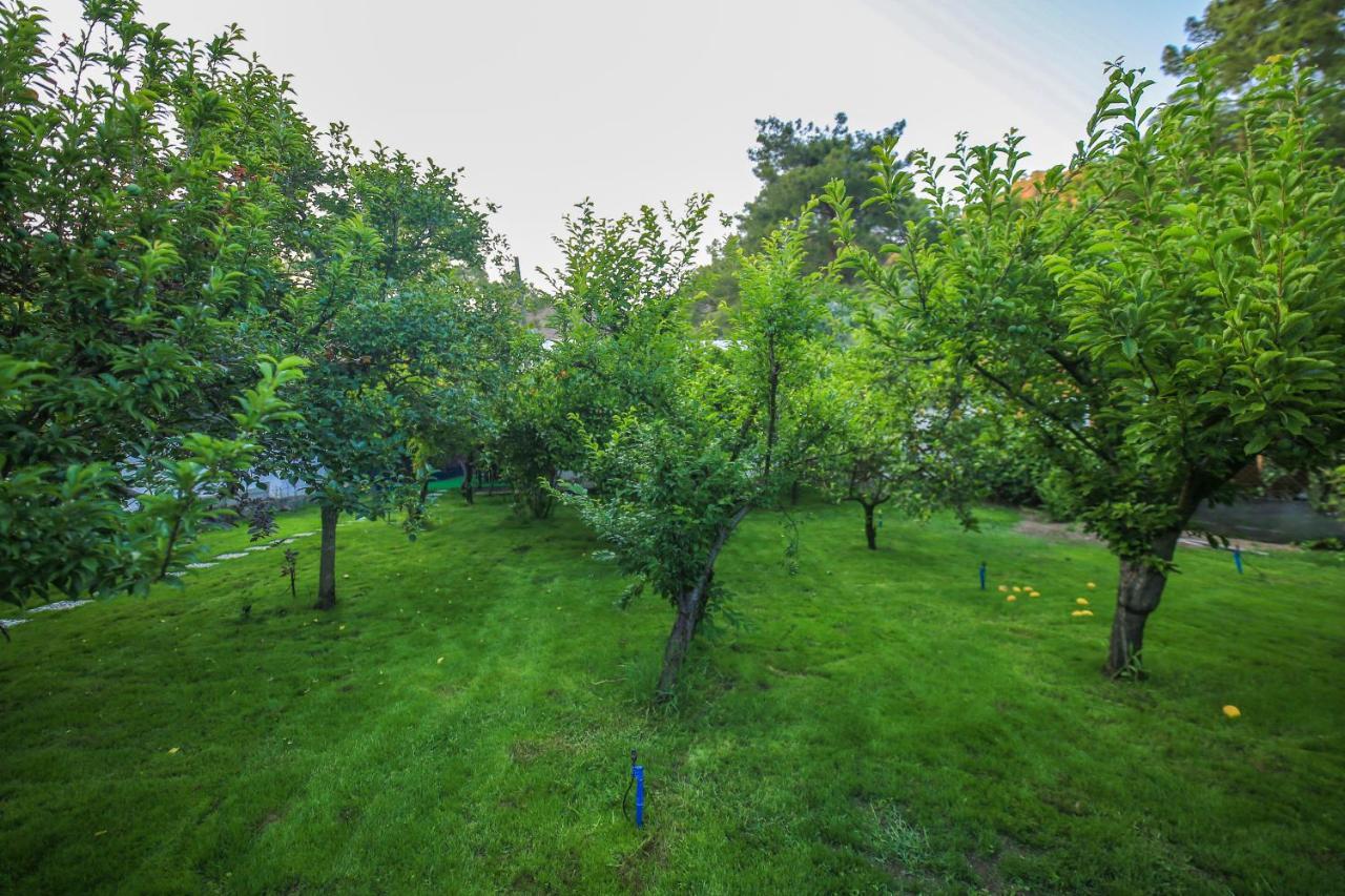 Apartament Seker Bungalov Çıralı Zewnętrze zdjęcie