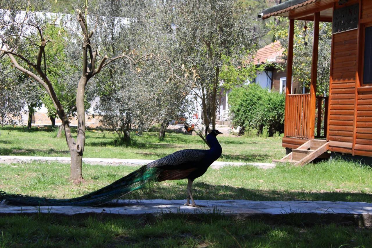 Apartament Seker Bungalov Çıralı Zewnętrze zdjęcie