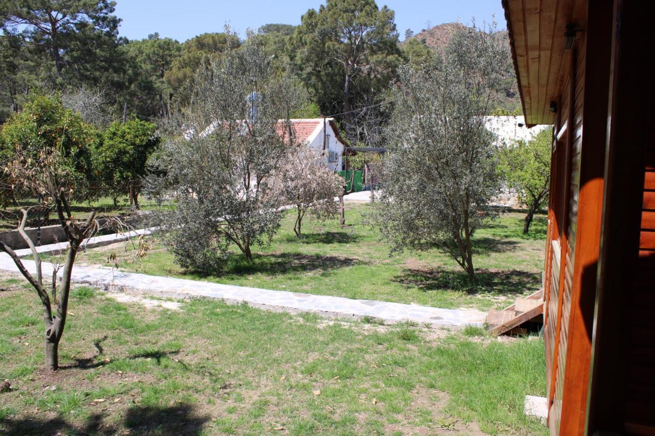 Apartament Seker Bungalov Çıralı Zewnętrze zdjęcie