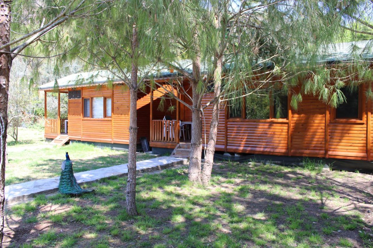 Apartament Seker Bungalov Çıralı Zewnętrze zdjęcie