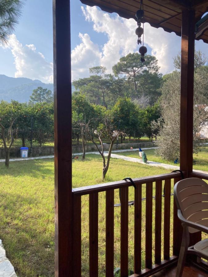 Apartament Seker Bungalov Çıralı Zewnętrze zdjęcie